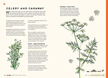 Grow Your Own Spices - Tasha Greer [KSIĄŻKA]