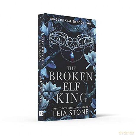 Broken Elf King - Leia Stone [KSIĄŻKA]