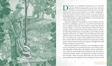 Druid Path - John Michael Greer [KSIĄŻKA]