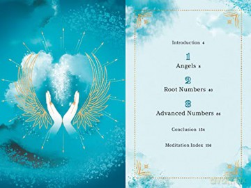 Angel Numbers - Fortuna Noir [KSIĄŻKA]