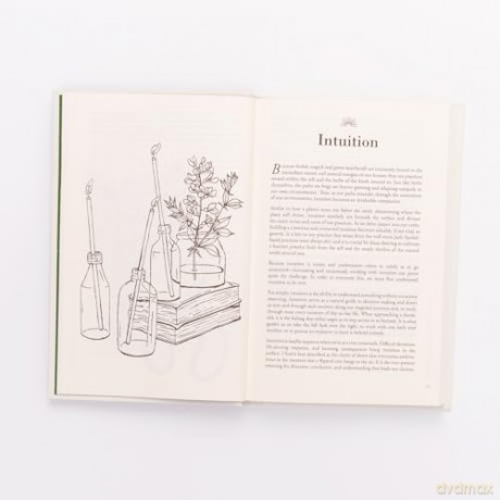 Green Witchs Guide To Herbal Magick - Annabel Margaret [KSIĄŻKA]