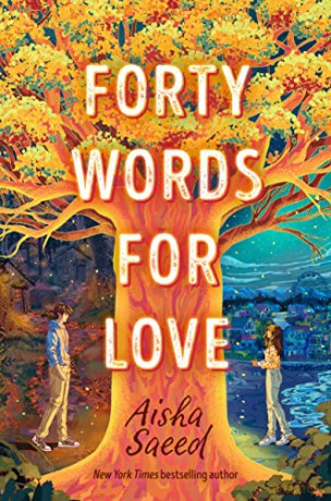 Forty Words For Love - Aisha Saeed [KSIĄŻKA]