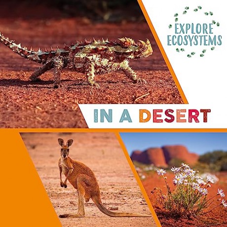 Explore Ecosystems In A Desert - Sarah Ridley [KSIĄŻKA]