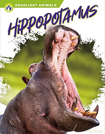 Hippopotamus - Golriz Golkar [KSIĄŻKA]