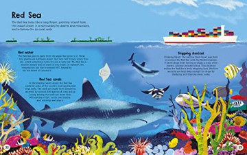 Blue Worlds The Seas [KSIĄŻKA]