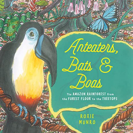 Anteaters Bats Boas - Roxie Munro [KSIĄŻKA]