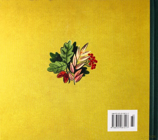 Elementarz kl.1-3 podręcznik Edukacja wczesnoszkolna / Reprint wydania z 1971 r - Falski M. [KSIĄŻKA]