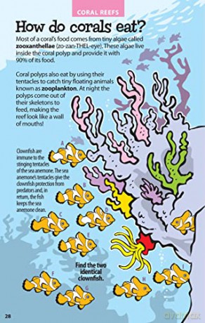 Awesome Undersea Activities For Kids - Vicki (Ed) Whiting [KSIĄŻKA]