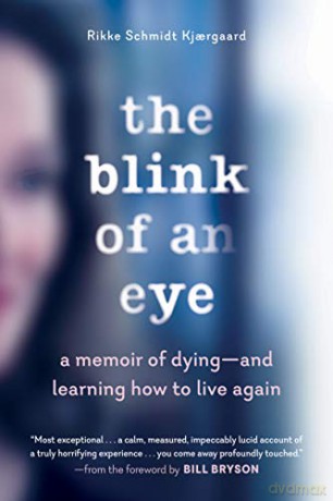 Blink Of An Eye - Schmidt Kj Rgaard [KSIĄŻKA]