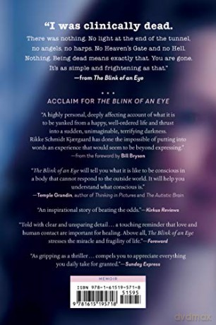 Blink Of An Eye - Schmidt Kj Rgaard [KSIĄŻKA]