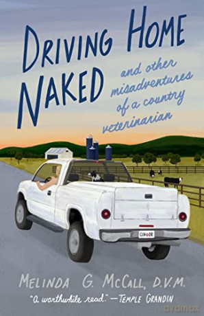 Driving Home Naked [KSIĄŻKA]