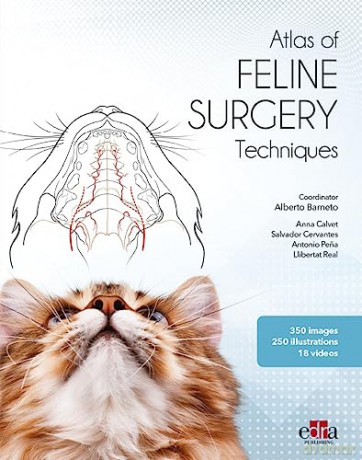Feline Surgery - Alberto Barneto [KSIĄŻKA]