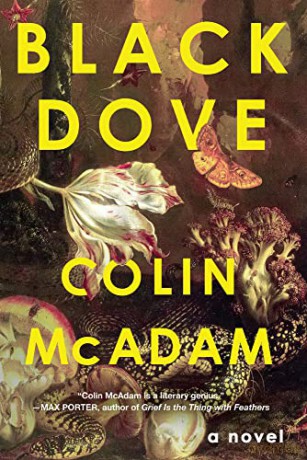Black Dove - Colin Mcadam [KSIĄŻKA]