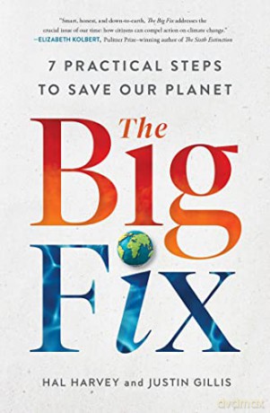 Big Fix 7 Practical Steps/Save Planet - Hal Harvey [KSIĄŻKA]