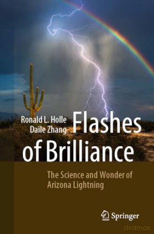 Flashes Of Brilliance - Ronald L. Holle [KSIĄŻKA]