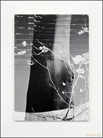 American Framing - Paul Andersen [KSIĄŻKA]