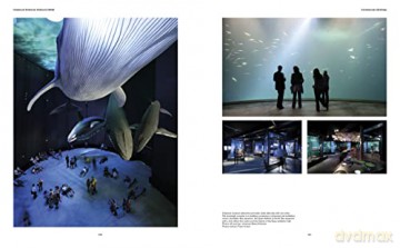 Aquarium Buildings - J Rgen Lange [KSIĄŻKA]