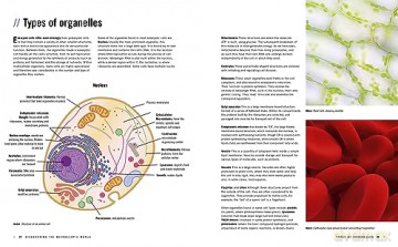 Discovering The Microscopic World - Marianne Taylor [KSIĄŻKA]