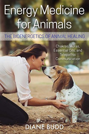 Energy Medicine For Animals - Diane Budd [KSIĄŻKA]