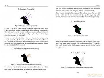 Energy Medicine For Animals - Diane Budd [KSIĄŻKA]