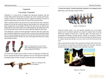 Energy Medicine For Animals - Diane Budd [KSIĄŻKA]