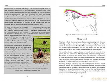 Energy Medicine For Animals - Diane Budd [KSIĄŻKA]