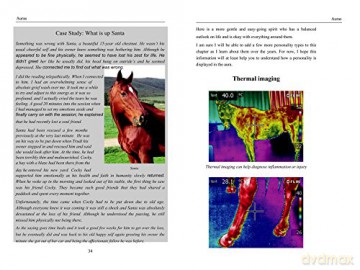 Energy Medicine For Animals - Diane Budd [KSIĄŻKA]