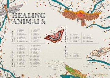 Healing Animals - Federica Zizzari [KSIĄŻKA]