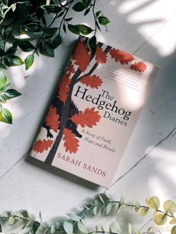 Hedgehog Diaries - Sarah Sands [KSIĄŻKA]
