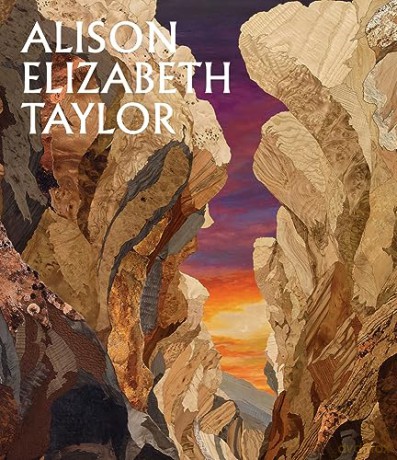 Alison Elizabeth Taylor - Alison E Taylor [KSIĄŻKA]