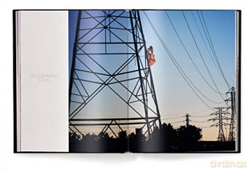 Flirting With Danger - David Drebin [KSIĄŻKA]