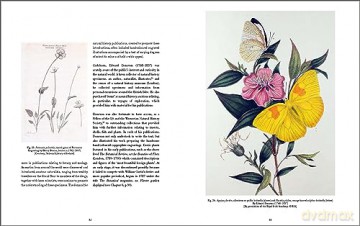 Drawn From Nature - Patricia Butler [KSIĄŻKA]