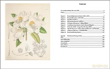 Drawn From Nature - Patricia Butler [KSIĄŻKA]