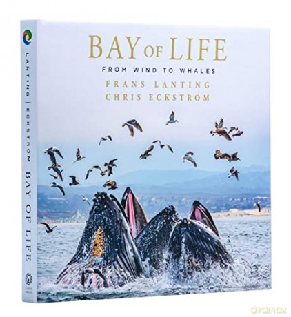 Bay Of Life - Frans Lanting [KSIĄŻKA]