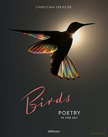 Birds - Christian Spencer [KSIĄŻKA]