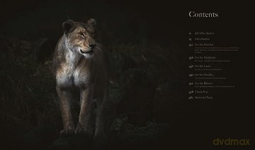 Among The Living - Guadalupe Laiz [KSIĄŻKA]
