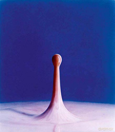 Harold Edgerton Seeing The Unseen - Harold Edgerton [KSIĄŻKA]