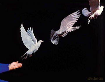 Harold Edgerton Seeing The Unseen - Harold Edgerton [KSIĄŻKA]