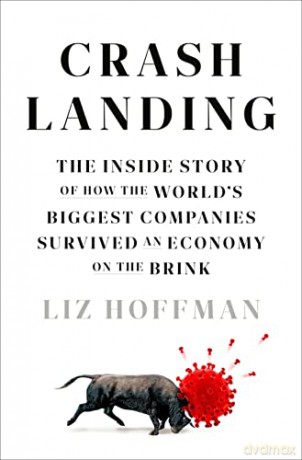 Crash Landing - Liz Hoffman [KSIĄŻKA]