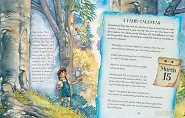Finding Fairies - Michelle Roe Mccann [KSIĄŻKA]