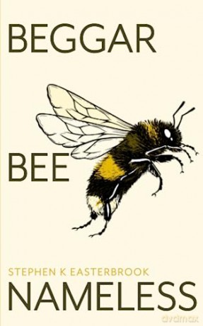 Beggar Bee Nameless - Stephen K Easterbroo [KSIĄŻKA]