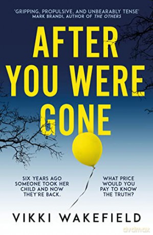 After You Were Gone - Vikki Wakefield [KSIĄŻKA]
