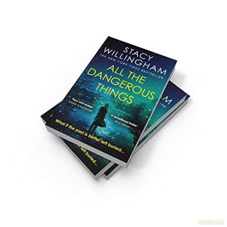 All The Dangerous Things - Stacy Willingham [KSIĄŻKA]