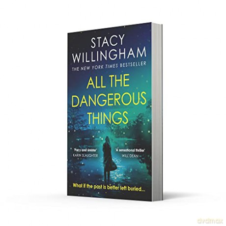 All The Dangerous Things - Stacy Willingham [KSIĄŻKA]