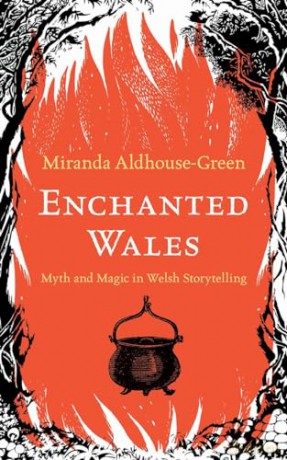 Enchanted Wales - M Aldhouse-Green [KSIĄŻKA]