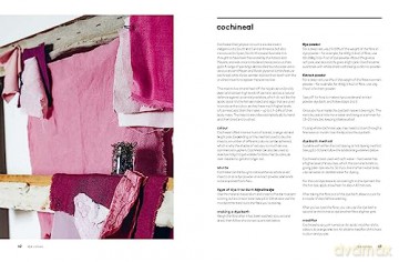 Botanical Dyes - Babs Behan [KSIĄŻKA]