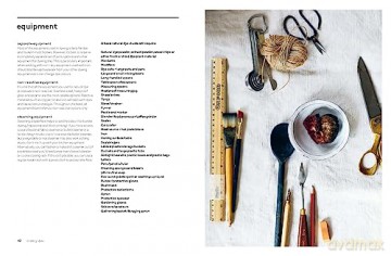 Botanical Dyes - Babs Behan [KSIĄŻKA]