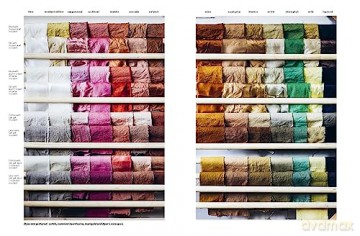 Botanical Dyes - Babs Behan [KSIĄŻKA]
