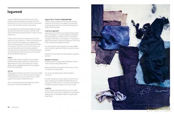 Botanical Dyes - Babs Behan [KSIĄŻKA]
