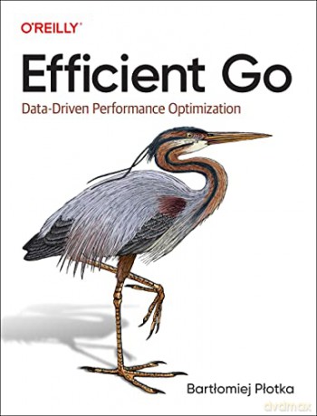 Efficient Go - Bartlomiej Plotka [KSIĄŻKA]